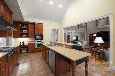 18716 Hammock Ln, Davidson, NC 28036 photo 11