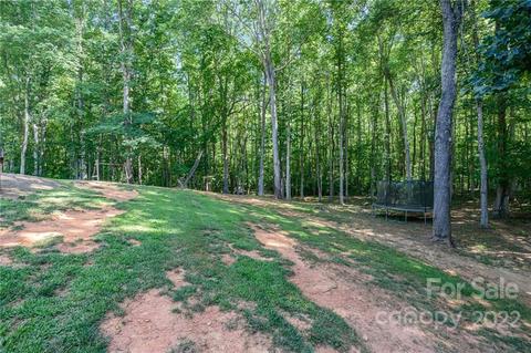 5749 Cedar Run Dr, Denver, NC 28037 photo 25
