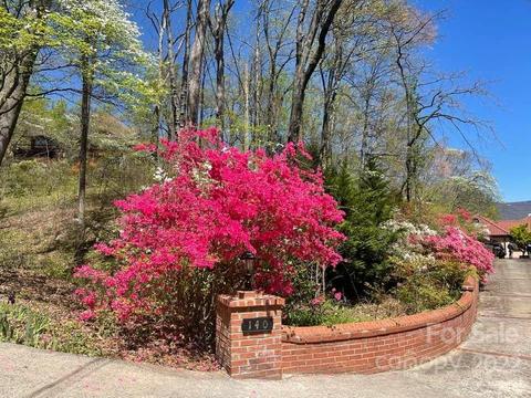 140 Jericho Dr, Tryon, NC 28782 photo 47