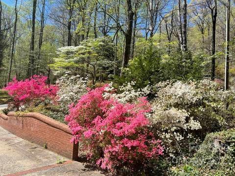 140 Jericho Dr, Tryon, NC 28782 photo 46