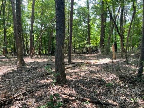 1029 Glade Spring 184 Ct #184, Belmont, NC 28012