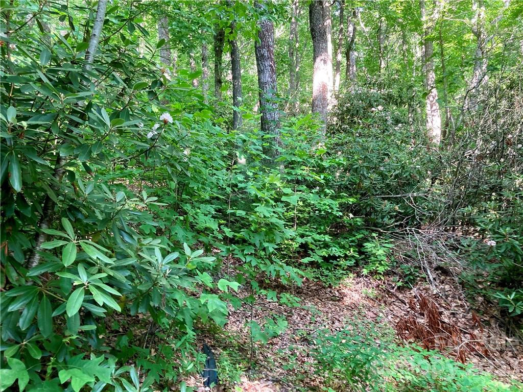 314 Burnside 44 Trl Unit 44  