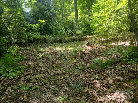 314 Burnside 44 Trl #44, Hendersonville, NC 28792