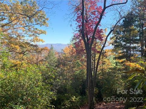 M25 Elk Mountain Trail, Brevard, NC 28712