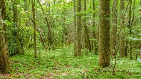 99999 Tbd Ridge Top Rd, Pisgah Forest, NC 28768