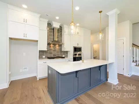 8200 Houser St, Cornelius, NC 28031 photo 13