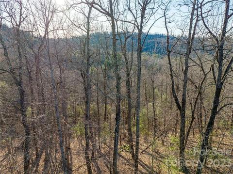Roaring Fork Lane, Hendersonville, NC 28739