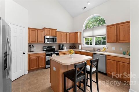 9830 Willow Leaf Ln, Cornelius, NC 28031 photo 12