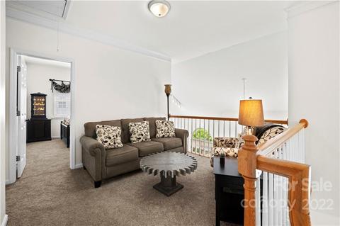 9830 Willow Leaf Ln, Cornelius, NC 28031 photo 23