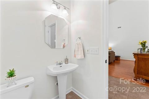 9830 Willow Leaf Ln, Cornelius, NC 28031 photo 9