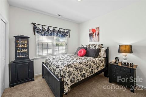9830 Willow Leaf Ln, Cornelius, NC 28031 photo 25