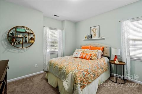 9830 Willow Leaf Ln, Cornelius, NC 28031 photo 24