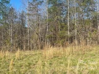 00 Hope Dr #11, Rutherfordton, NC 28139