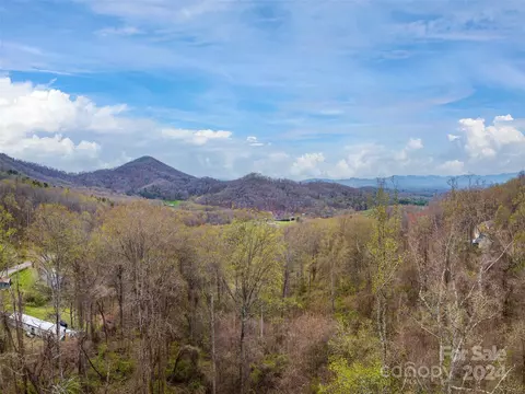 99999 Hookers Gap Rd, Candler, NC 28715