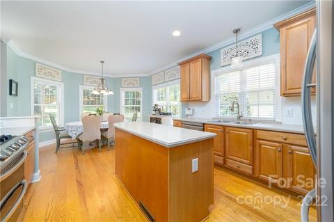 21261 Summerbrook Dr, Cornelius, NC 28031 photo 9