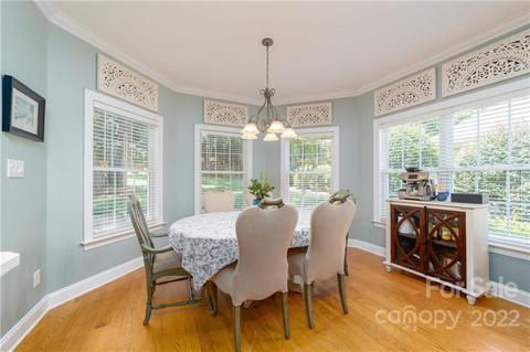 21261 Summerbrook Dr, Cornelius, NC 28031 photo 11