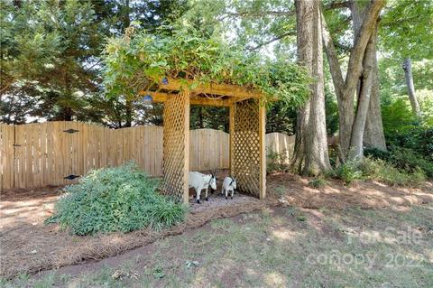 21261 Summerbrook Dr, Cornelius, NC 28031 photo 28