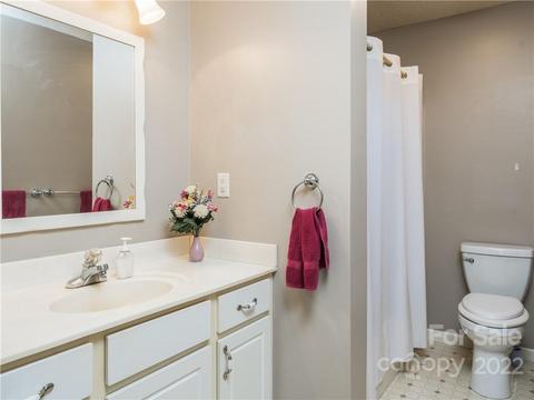 7 Pheasant Dr, Fairview, NC 28730 photo 20
