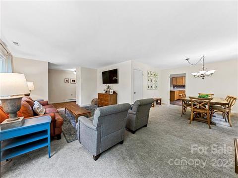 52 Parsonage Dr, Mills River, NC 28759 photo 5
