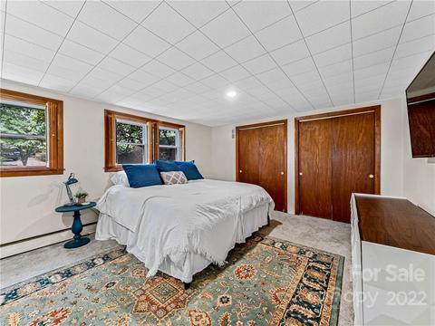 52 Parsonage Dr, Mills River, NC 28759 photo 20