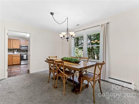 52 Parsonage Dr, Mills River, NC 28759 photo 6