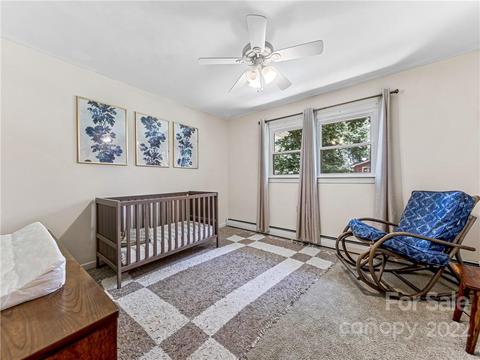 52 Parsonage Dr, Mills River, NC 28759 photo 15
