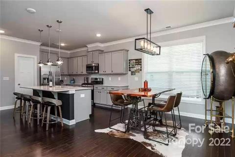 13316 Caite Ridge Rd, Davidson, NC 28036 photo 9
