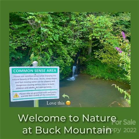 2073 Buck Mountain Rd, Purlear, NC 28665 photo 43