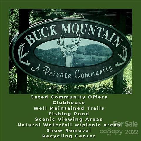 2073 Buck Mountain Rd, Purlear, NC 28665 photo 37