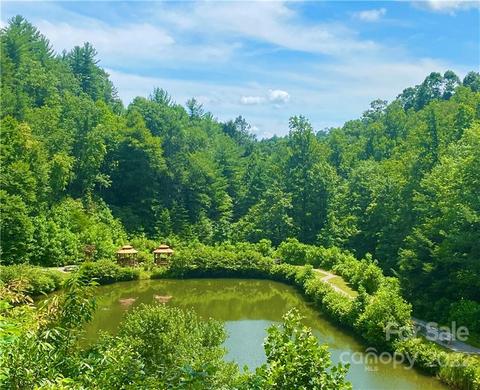 2073 Buck Mountain Rd, Purlear, NC 28665 photo 40