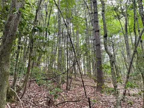 Moose Haven Drive, Penrose, NC 28766