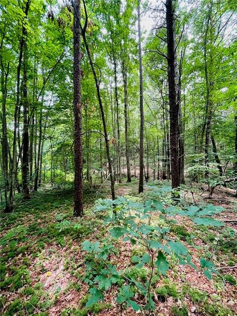 00 Twin Creek Dr #61, Troutman, NC 28166