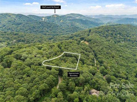 768 Mcdaris Loop, Mars Hill, NC 28754 photo 29