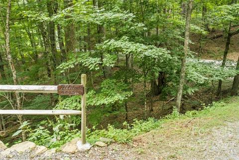 768 Mcdaris Loop, Mars Hill, NC 28754 photo 32