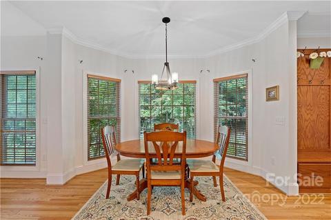 126 Burnell Pl, Davidson, NC 28036 photo 16