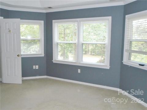 5353 Chester Ct, Davidson, NC 28036 photo 19