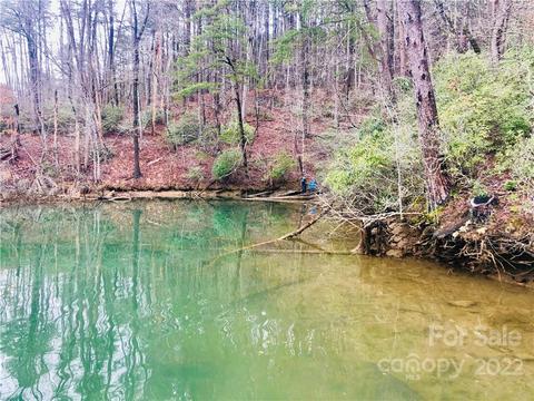 13 Hawk Ridge Dr, Mill Spring, NC 28756 photo 7