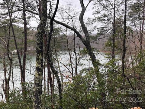 13 Hawk Ridge Dr, Mill Spring, NC 28756