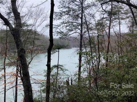13 Hawk Ridge Dr, Mill Spring, NC 28756 photo 4