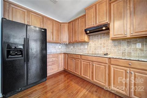 355 Armour St, Davidson, NC 28036 photo 14