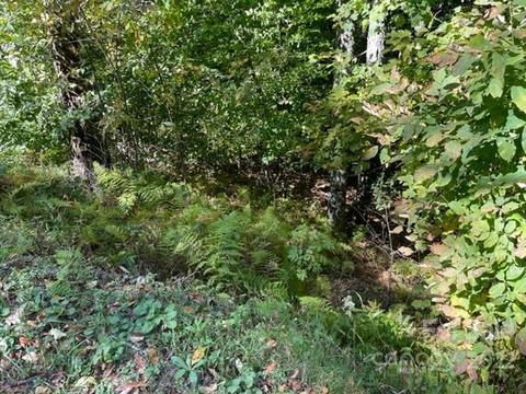 609 Glenaire Ln #609, Mars Hill, NC 28754
