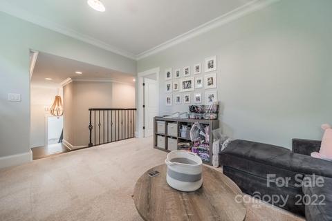 18010 Bear Track Dr, Davidson, NC 28036 photo 26