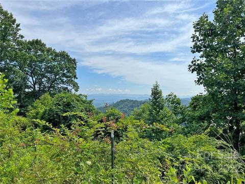 1696 Caney Fork Rd, Marshall, NC 28753 photo 2