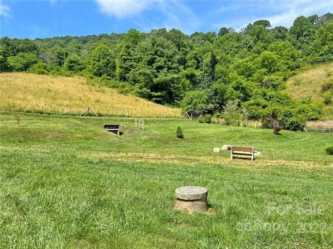 1696 Caney Fork Rd, Marshall, NC 28753 photo 5