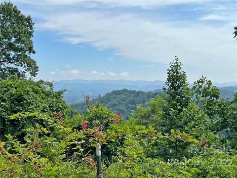 1696 Caney Fork Rd, Marshall, NC 28753 photo 3