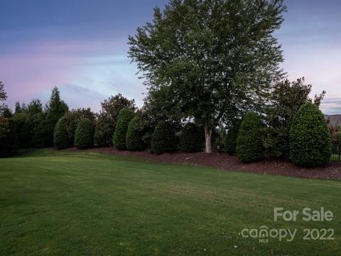 2104 Linari Way, Waxhaw, NC 28173 photo 37