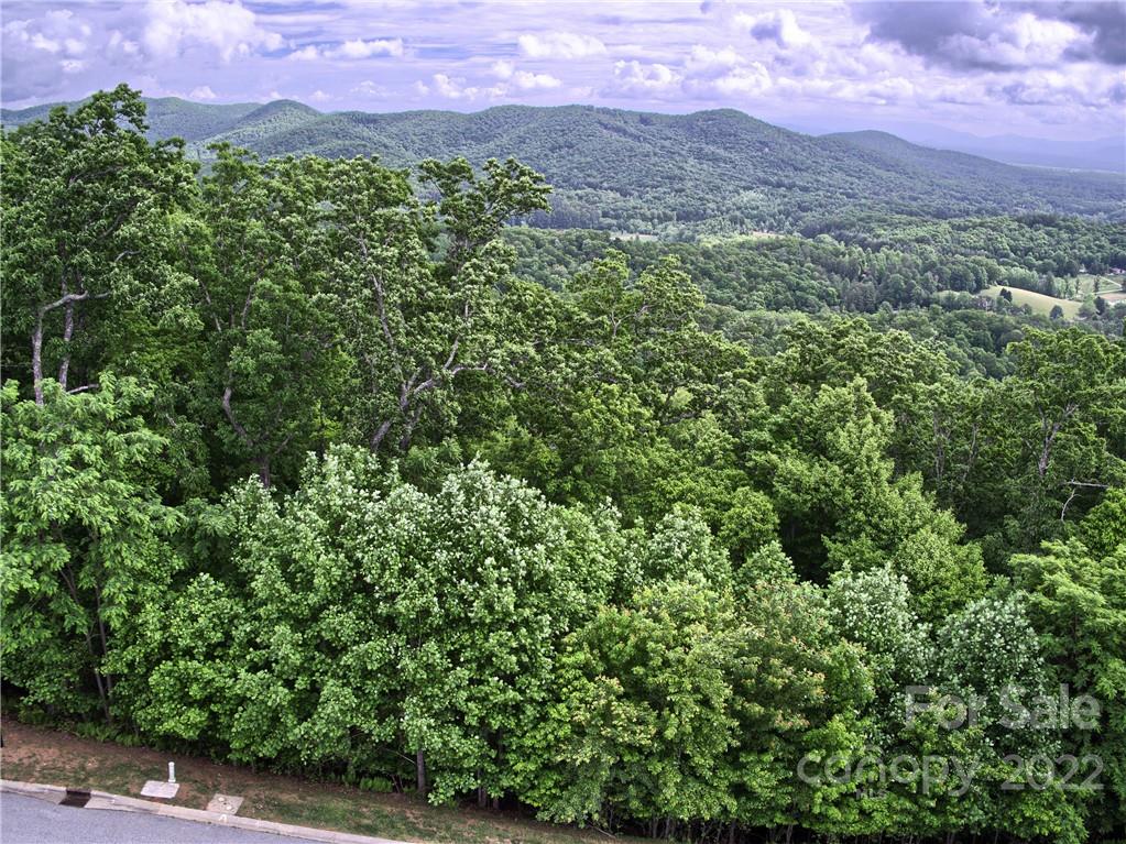 45 Mills River Way  