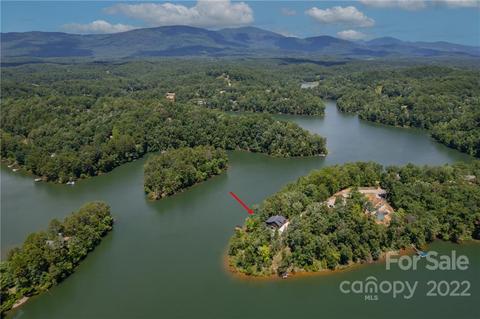 494 Peninsula Dr, Mill Spring, NC 28756 photo 30