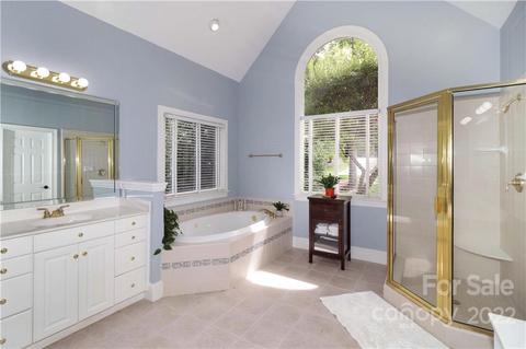 18809 Maplecroft Lake Ln, Davidson, NC 28036 photo 21