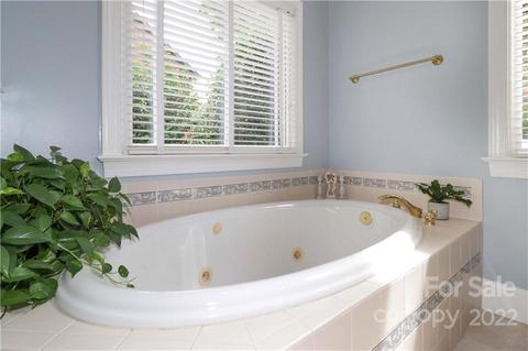 18809 Maplecroft Lake Ln, Davidson, NC 28036 photo 23